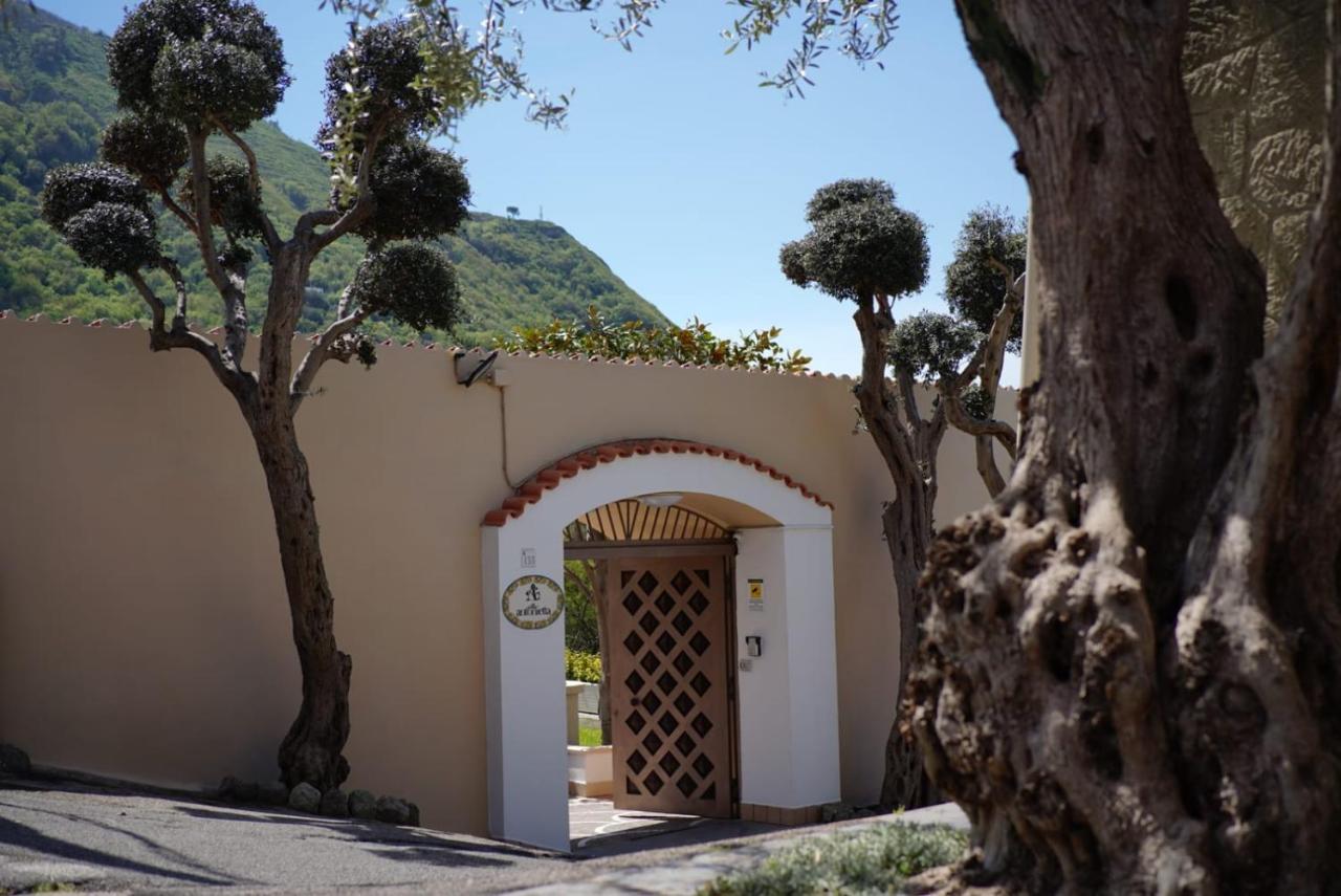 Villa Antonietta Ischia Ngoại thất bức ảnh