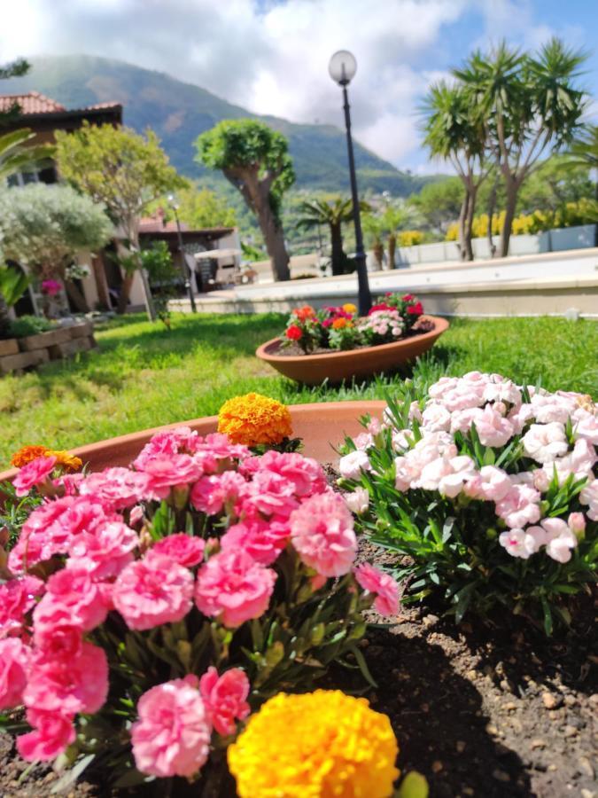 Villa Antonietta Ischia Ngoại thất bức ảnh