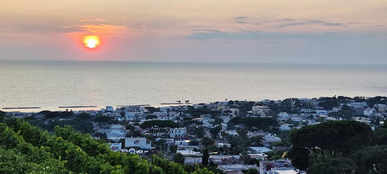 Villa Antonietta Ischia Ngoại thất bức ảnh