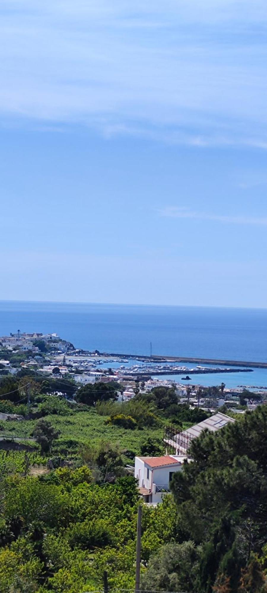 Villa Antonietta Ischia Ngoại thất bức ảnh