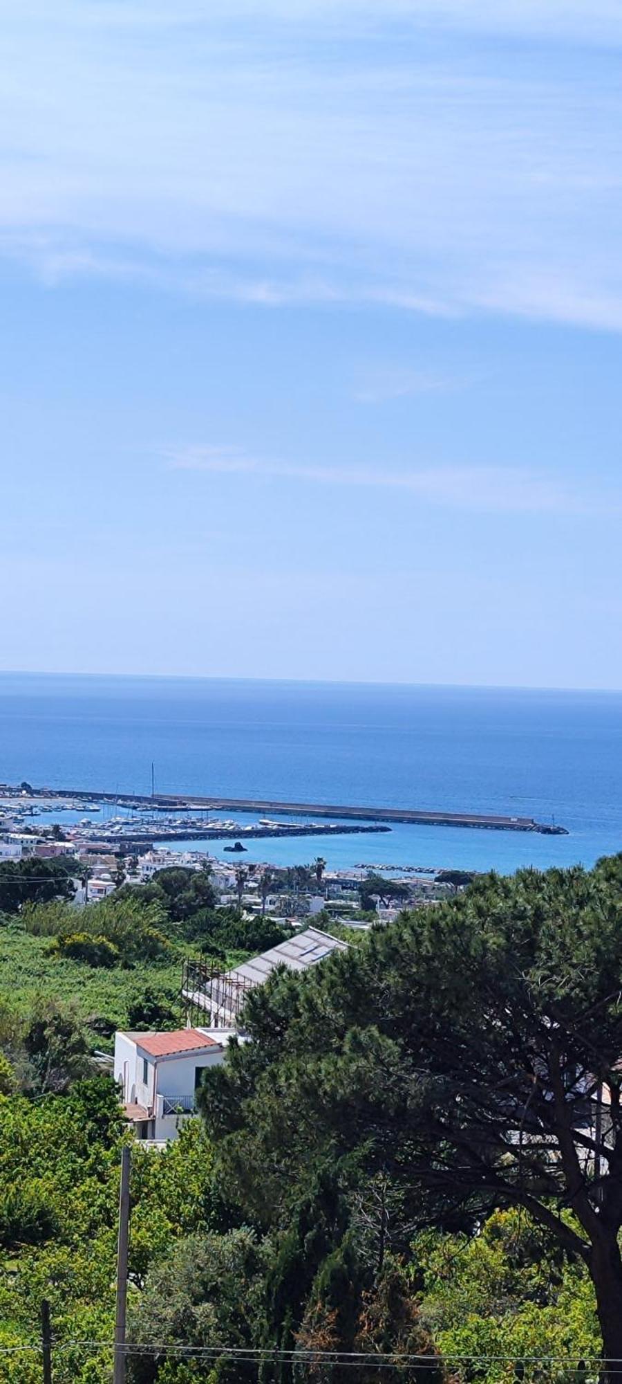Villa Antonietta Ischia Ngoại thất bức ảnh
